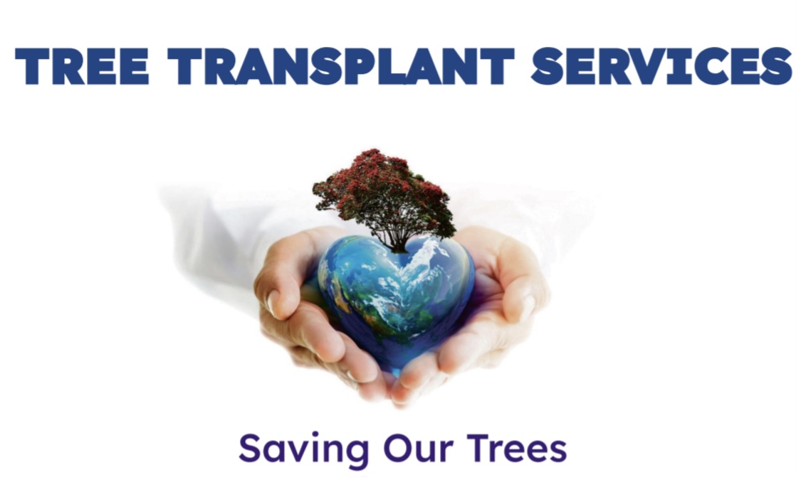 Tree Transplant Services